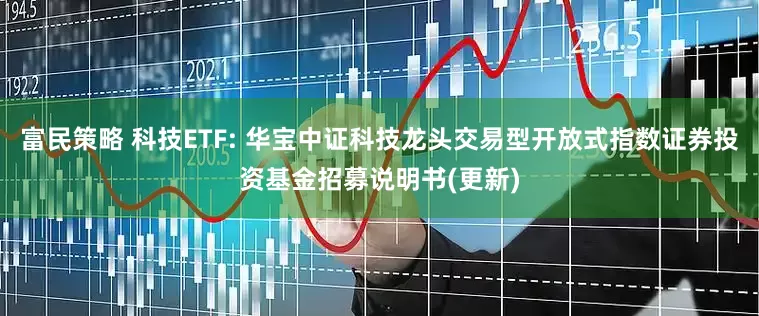富民策略 科技ETF: 华宝中证科技龙头交易型开放式指数证券投资基金招募说明书(更新)