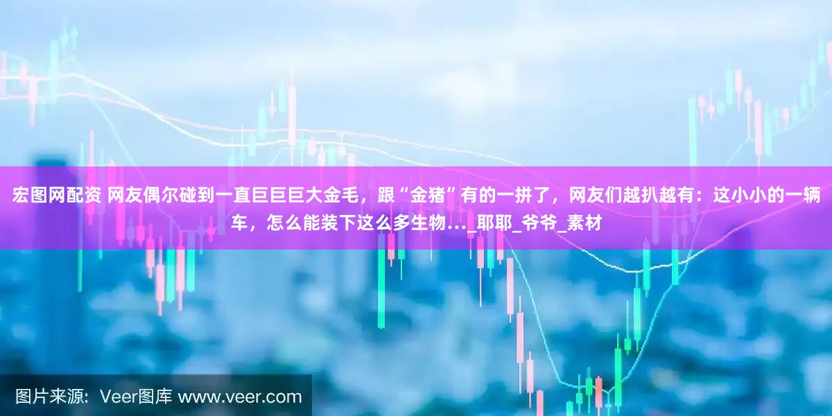宏图网配资 网友偶尔碰到一直巨巨巨大金毛，跟“金猪”有的一拼了，网友们越扒越有：这小小的一辆车，怎么能装下这么多生物…_耶耶_爷爷_素材