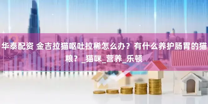 华泰配资 金吉拉猫呕吐拉稀怎么办？有什么养护肠胃的猫粮？_猫咪_营养_乐顿
