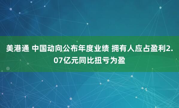 美港通 中国动向公布年度业绩 拥有人应占盈利2.07亿元同比扭亏为盈